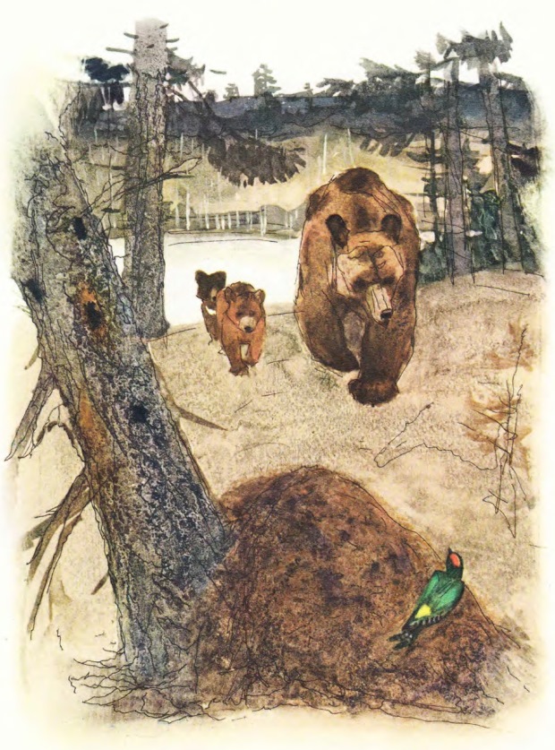 И. Соколов-Микитов. Медведи И. Соколов-Микитов. Медведи