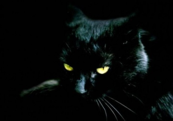 Коргоруши (Коловерши) Коргоруши (Коловерши)