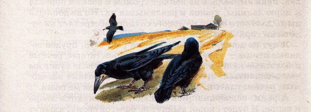 В. Бианки. Три весны