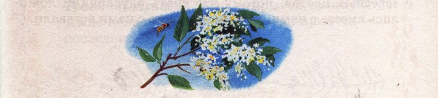 С. Есенин. Черёмуха С. Есенин. Черёмуха