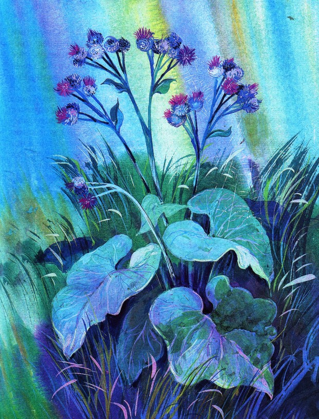 Л. Толстой. Репейник Л. Толстой. Репейник