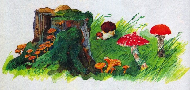 Народный календарь