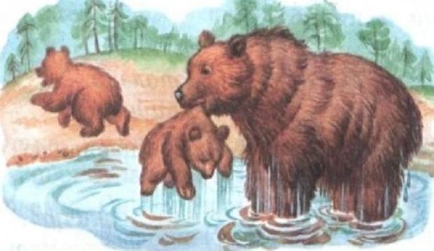 В. Бианки. Купанье медвежат В. Бианки. Купанье медвежат
